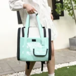 Simple Contrasting Pet Backpack Space Capsule Cat Bag Shoulder Dog Bag - Image 8