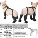 Waterproof Dog Boots Anti-Slip Dog Shoes Pet Paw Protector - Image 7