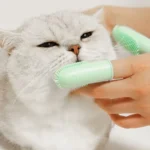 2pcs Pet Teeth Cleaning Dual Finger Toothbrush Dogs And Cats Oral Cleaning Tools - Image 9