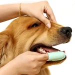 Pets Finger Toothbrush With Handle Dogs And Cats Oral Cleaning Tools - Image 9
