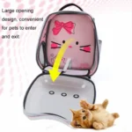 Cartoon Pattern Cat Transparent Pet Bag Space Capsule Portable Pet Backpack - Image 6