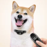 Pet Dog Training Anti-barking Collar Smart Remote Control - Image 9