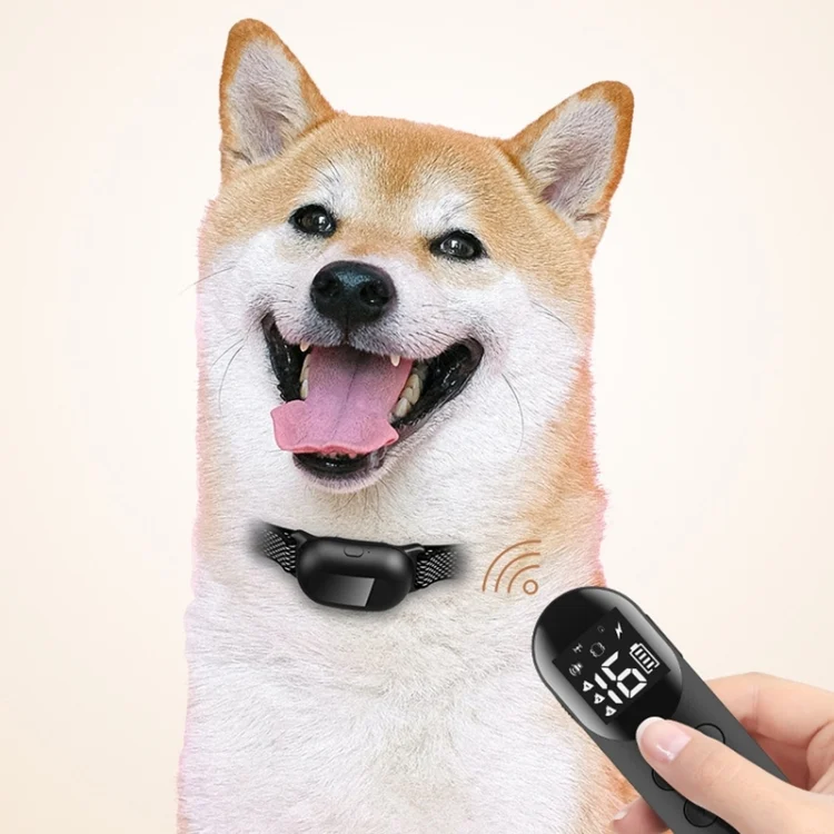 TBD06044863_B8.webp Pet Dog Training Anti-barking Collar Smart Remote Control - Image 9