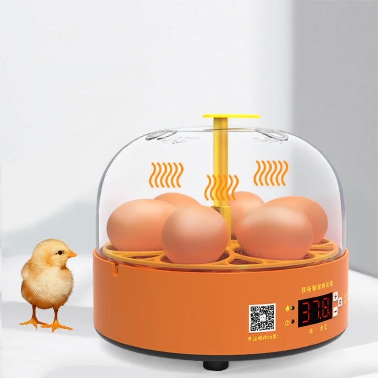 TBD06045106_B1.webp 6-Eggs Small Household Experimental Children Smart Chicken Incubators - Image 2