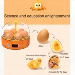 6-Eggs Small Household Experimental Children Smart Chicken Incubators - Image 3