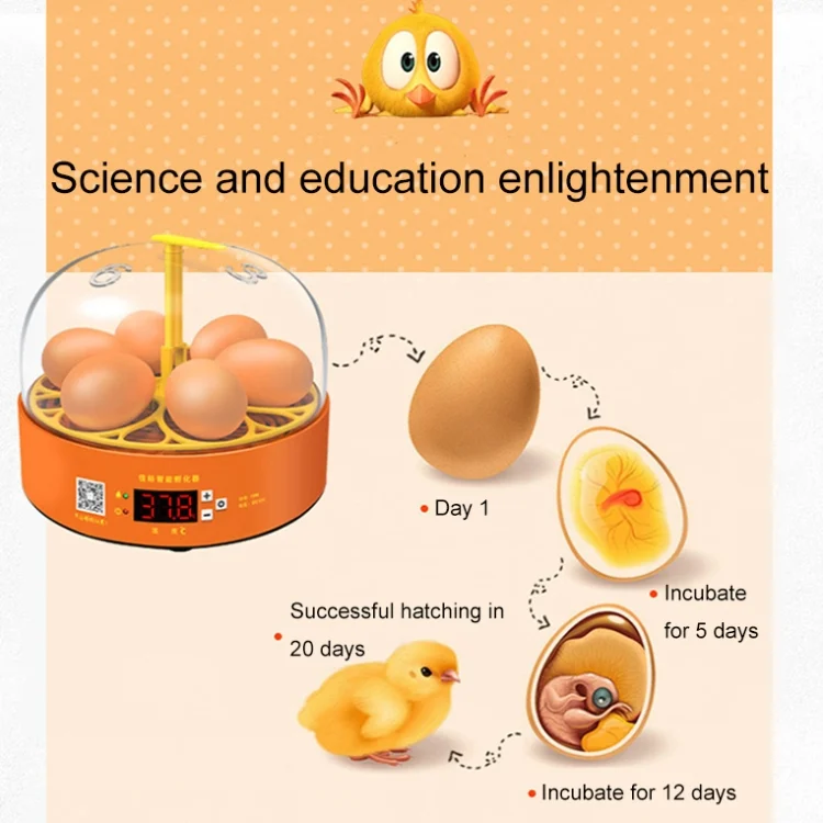 TBD06045106_B2.webp 6-Eggs Small Household Experimental Children Smart Chicken Incubators - Image 3