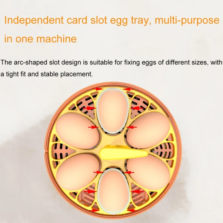TBD06045106_B4.webp 6-Eggs Small Household Experimental Children Smart Chicken Incubators - Image 5