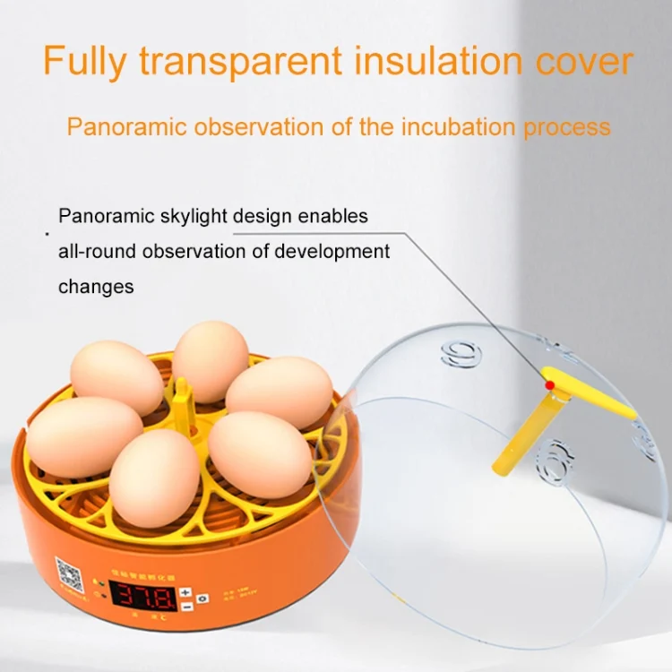 TBD06045106_B5.webp 6-Eggs Small Household Experimental Children Smart Chicken Incubators - Image 6