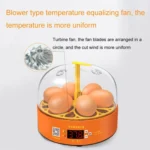 6-Eggs Small Household Experimental Children Smart Chicken Incubators - Image 7