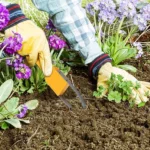 Handheld Garden Bracelet Weeder Remover Tool - Image 4