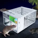 Home Indoor Automatic Mouse Trap Cage Catch Mouse Trap - Image 2