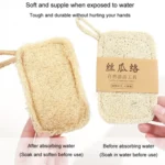 Natural Loofah Dishwashing Brush Dishwashing Tool Loofah Rag Brush - Image 5
