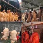 Stainless Steel Double Ring Duck Cooker Hanger Outdoor Barbecue Hanging Hook Stand - Image 7