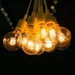 40W E27 Screw LED Dimmable Tungsten Bulb Pet Heating Lamp - Image 3