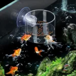 Acrylic Transparent Feeding Ring Fish Tank Feeder Floating Fixed Fish Feeder - Image 2