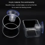 Acrylic Transparent Feeding Ring Fish Tank Feeder Floating Fixed Fish Feeder - Image 3