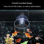 Acrylic Transparent Feeding Ring Fish Tank Feeder Floating Fixed Fish Feeder - Image 5