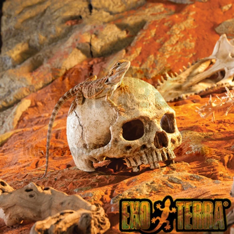 TBD06046652_B1.webp Fish Tank Aquarium Decoration Spider Lizard Snake Python Skull Breeding House Hiding Ornament - Image 2