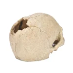 Fish Tank Aquarium Decoration Spider Lizard Snake Python Skull Breeding House Hiding Ornament - Image 3