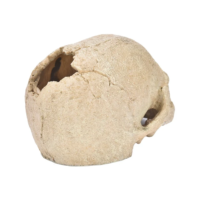 TBD06046652_B2.webp Fish Tank Aquarium Decoration Spider Lizard Snake Python Skull Breeding House Hiding Ornament - Image 3