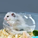 Hamster Bathroom Toilet Dual Purpose Nest Splash-proof Small Animals Golden Bear Bathtub - Image 2