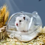 Hamster Bathroom Toilet Dual Purpose Nest Splash-proof Small Animals Golden Bear Bathtub - Image 5