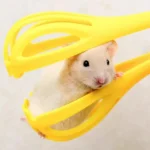 Hamster Clip Golden Bear Interactive Toys Landscaping Mouse Trap - Image 9
