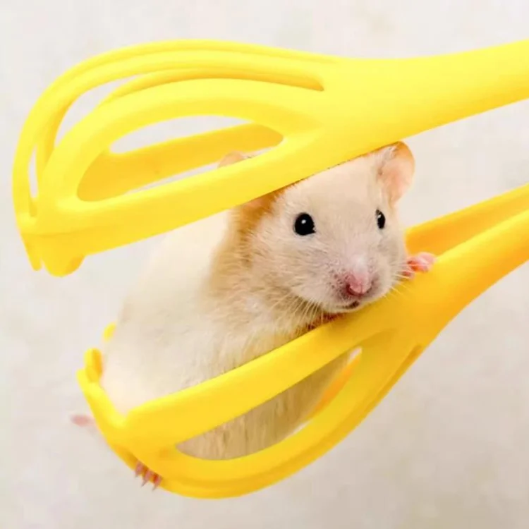 TBD06047228_B8.webp Hamster Clip Golden Bear Interactive Toys Landscaping Mouse Trap - Image 9