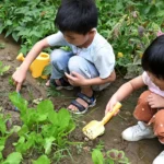 Beach Seawater Tools Set Vegetable And Flowers Gardening Equipment - Image 5