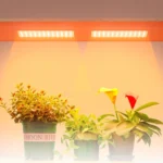 USB 5V LED Hanging Growth Light Indoor Quantum Plate Plant Fill Light - Image 2