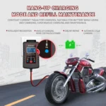 RJtianye 6V/12V ASE Adapter Cable Car Motorcycle Lawn Mower Battery Charger - Image 10