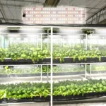 12V Sun Cold Light Panel Plant Grow Lamp Seedling Fill Lights - Image 2