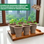 6 Holes Nursery Box Small Vegetable Flower Plant Breathable Growing Tray Silicone Folding Nursery Pot - Image 2