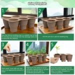 6 Holes Nursery Box Small Vegetable Flower Plant Breathable Growing Tray Silicone Folding Nursery Pot - Image 8