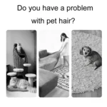 Triangular Shaped Cats And Dog Sofa Hair Remover Pet Litter Carpet Brush - Image 3