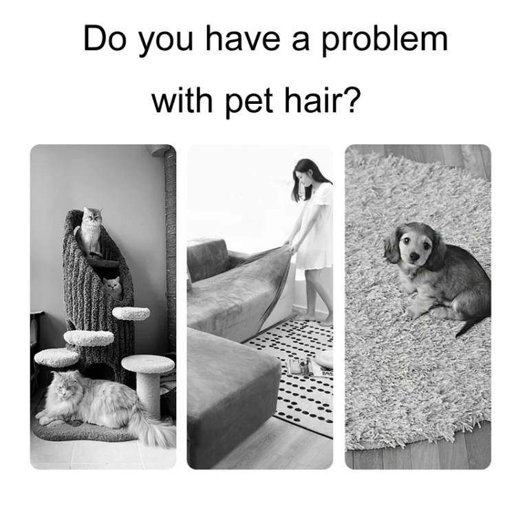 TBD06048299_B2.webp Triangular Shaped Cats And Dog Sofa Hair Remover Pet Litter Carpet Brush - Image 3
