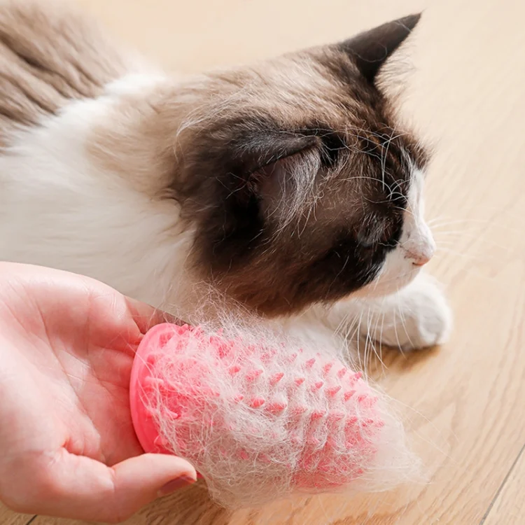 TBD06048669_B8.webp Multifunctional Cat Table Leg Scratcher Pet Silicone Hair Massage Brush - Image 9