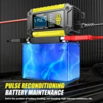 FOXSUR Cars Motorcycles 12V Lithium Cattery Charger With Battery Detection - Image 13