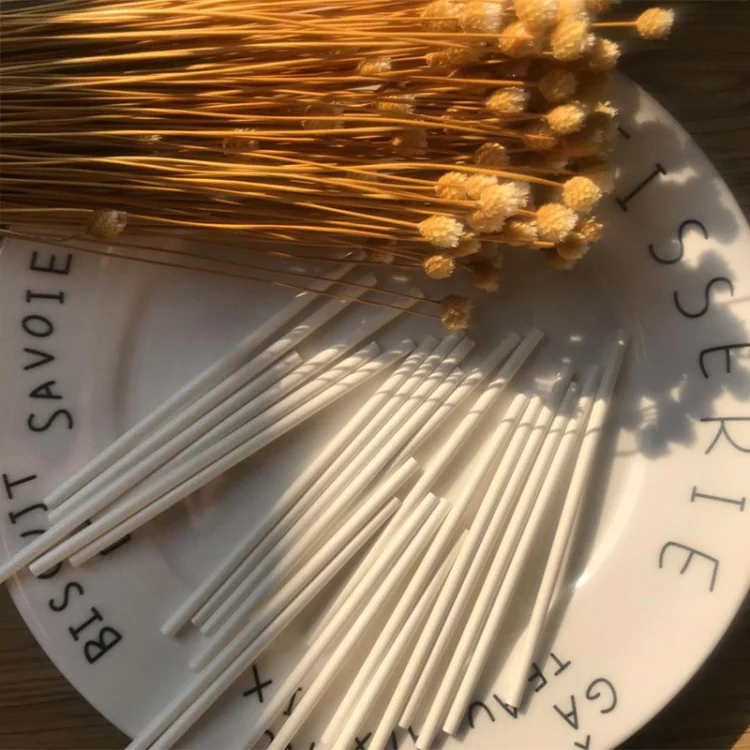 TBD06048872_B2.webp 100pcs / Pack Household Homemade Lollipop Paper DIY Baking Cookie Sticks - Image 3