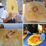 Japanese Paper Thin Seafood Cracker Pancake Machine - Image 8
