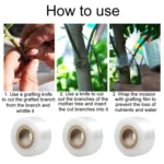 Garden Grafting Tape Fruit Tree Seedling Self-Adhesive Wrap - Image 7