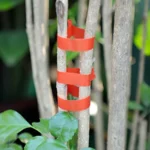 2pcs Pruning Machine Strapping Tape Gardening Taping Accessories - Image 9