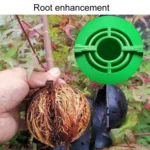 2pcs Plants Growth High Pressure Box Spherical Root Controller Grafting Root Cases - Image 8