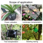 2pcs Plants Growth High Pressure Box Spherical Root Controller Grafting Root Cases - Image 10