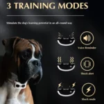 Pet Electronic Fence Wireless Stop Barker Outdoor Dog Collar Remote Control Dog Trainer - Image 10