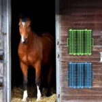 Large Pet Massage Automatic Scratcher for Cats and Dogs - Image 8