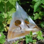 20pcs /Pack Snail Slug Trap Bag Garden Vegetable Plot Trap Transparent Plastic Bag - Image 2