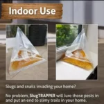 20pcs /Pack Snail Slug Trap Bag Garden Vegetable Plot Trap Transparent Plastic Bag - Image 4