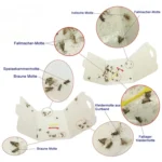 Moth Catcher Insect Trap Sticker - Image 3