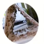 Moth Catcher Insect Trap Sticker - Image 3